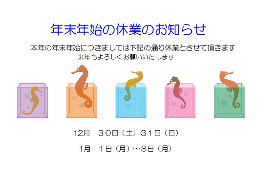 HPǯǯ2024